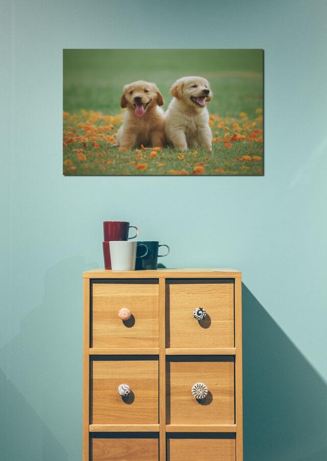 Falikép a kedvencekről